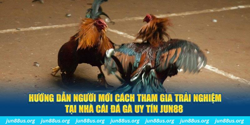 7m vn loi game dot kich ket noi may chu that bai