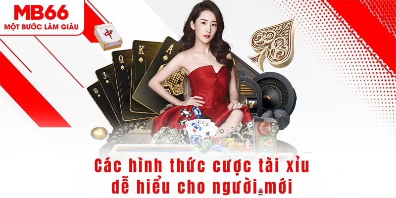 7m vn DG Trực Tuyến