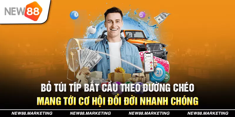 7m vn trực tiếp đá gà