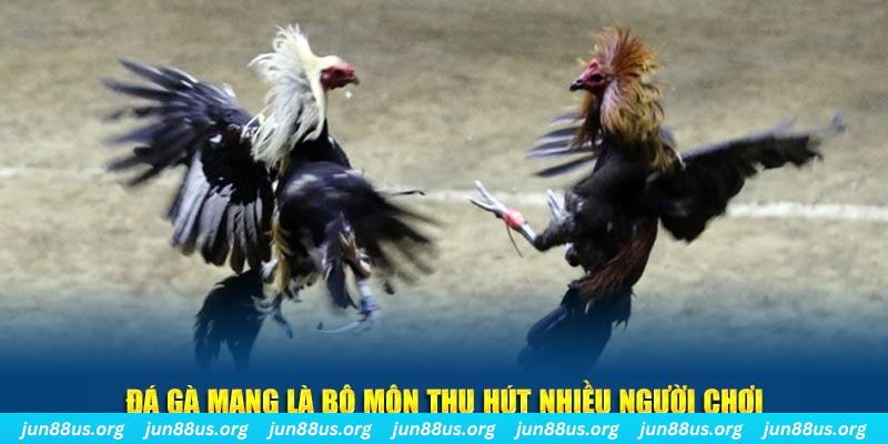 7m vn tại sao tải game bài sunwin không được