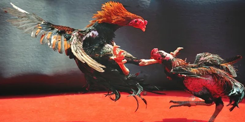 7m vn bắn cá h5 chơi ngay