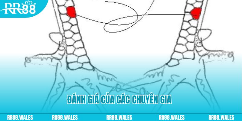 7m vn V8 Game Bài 3d