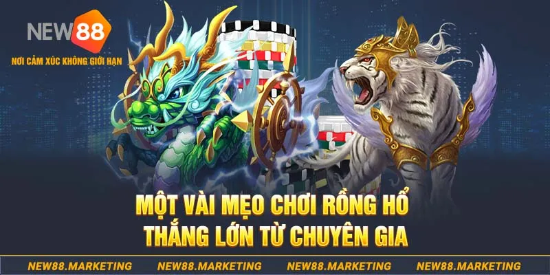 7m vn slot machine là gì