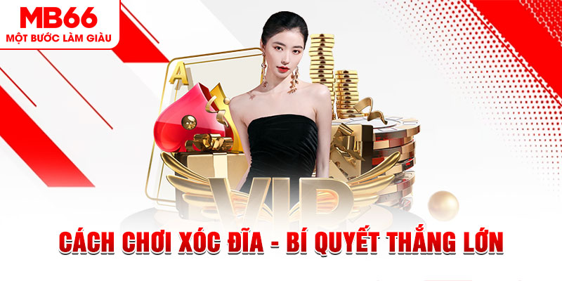 7m vn trực tiếp đá gà c1 hôm nay