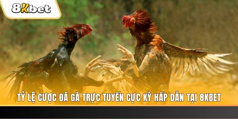 7m vn baccarat online bịp như thế nào