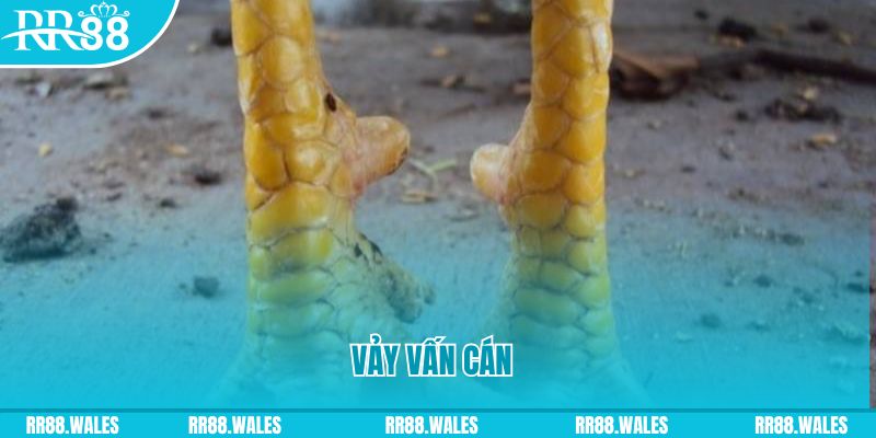 7m vn đăng nhập nổ hũ hôm nay