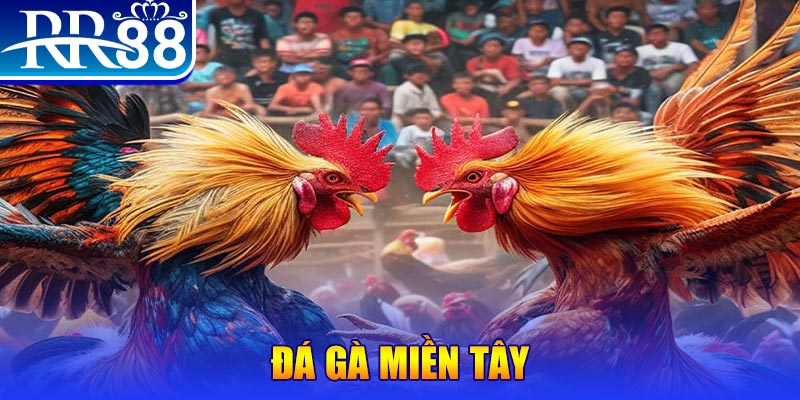 7m vn nổ hũ ai là gì