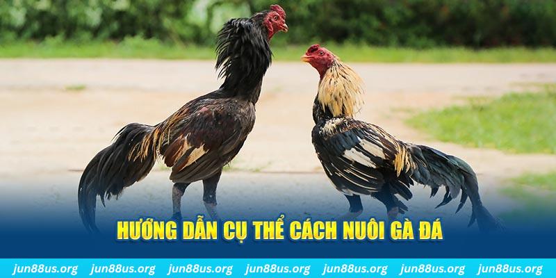 7m vn đăng nhập sòng bạc số 1
