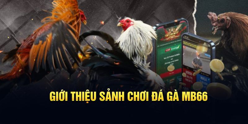 7m vn đăng nhập poker hôm nay