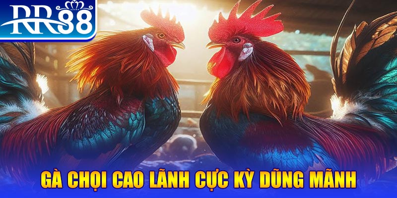 7m vn ILOVEU Bắn cá